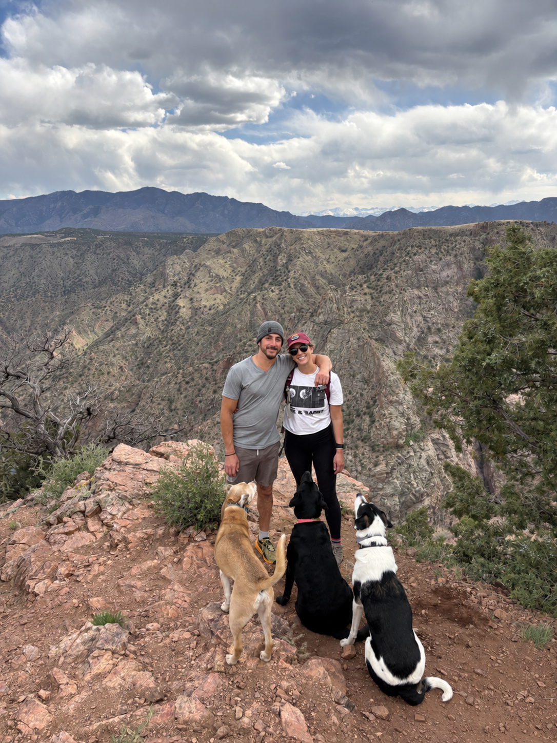 Three dogs with their hiking companions in a canyon landscape